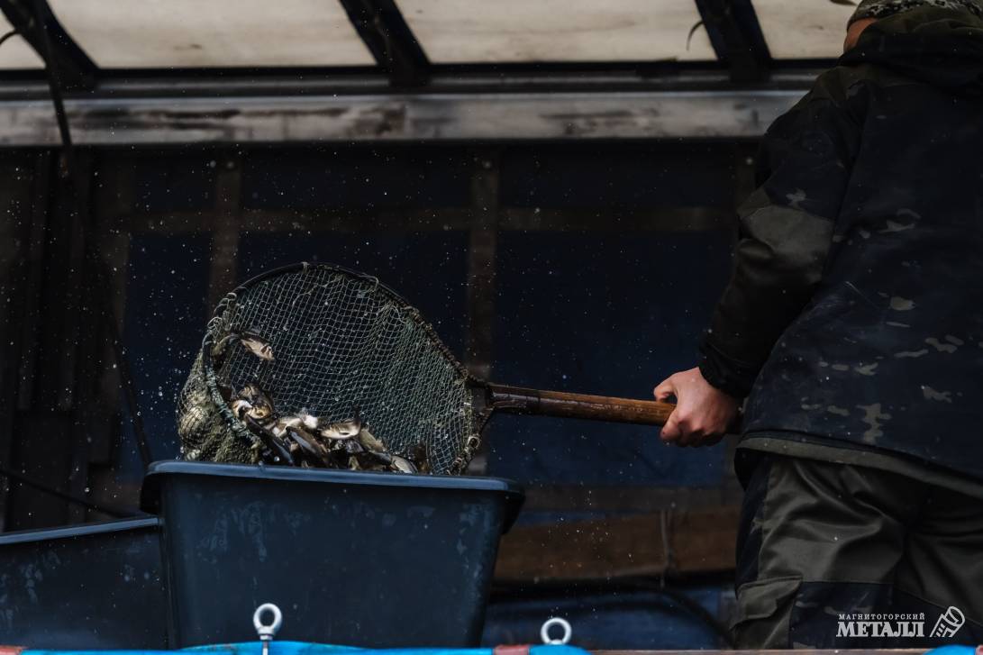 Рыбаки, готовьте удочки! | Фотография 23