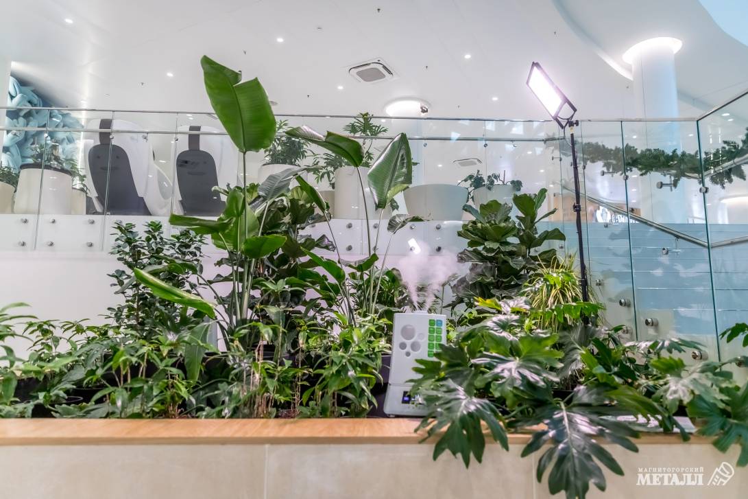 И среди зимы бывает лето | Фотография 2