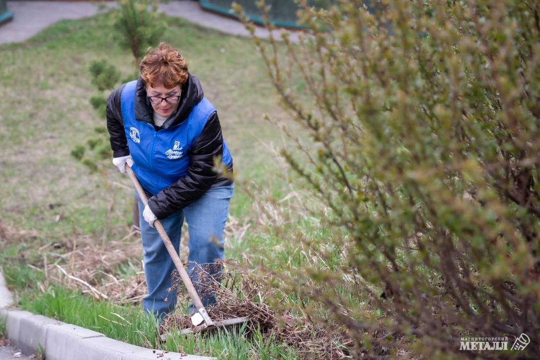 Вот как надо город любить! | Фотография 23