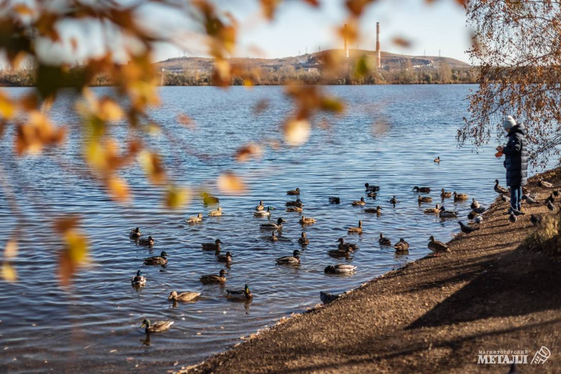 Осень в городе | Фотография 10