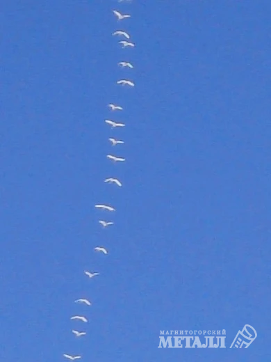 Принесли тепло  | Фотография 1