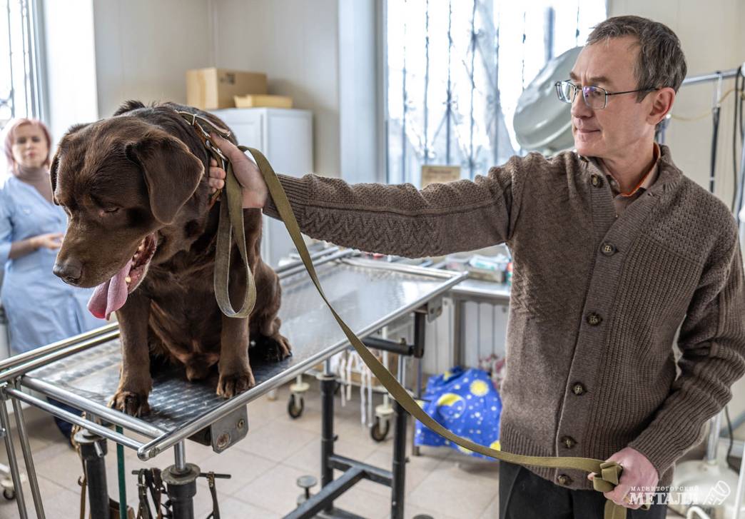 «И корова, и волчица, и жучок,  и червячок, и медведица» | Фотография 7