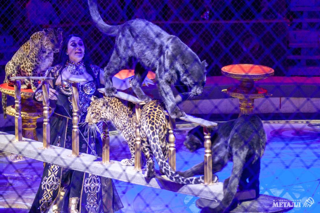 Новый год в Стране чудес | Фотография 35