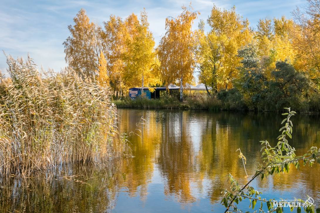 Рыбакам на радость, реке на пользу | Фотография 5