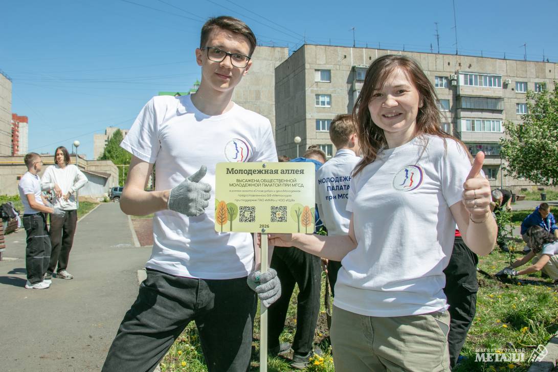 Молодые саженцы для сквера Молодёжного | Фотография 17