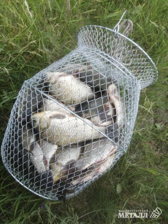 Мало дальневосточной? Вырастим свою! | Фотография 1