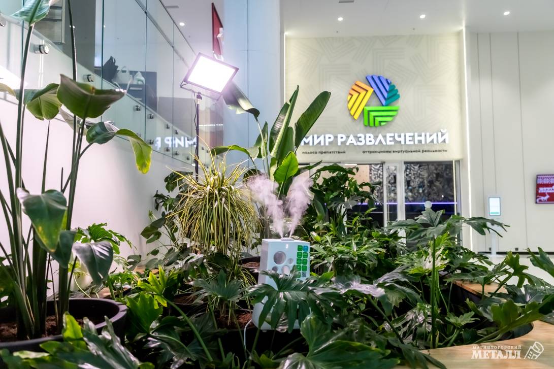 И среди зимы бывает лето | Фотография 13