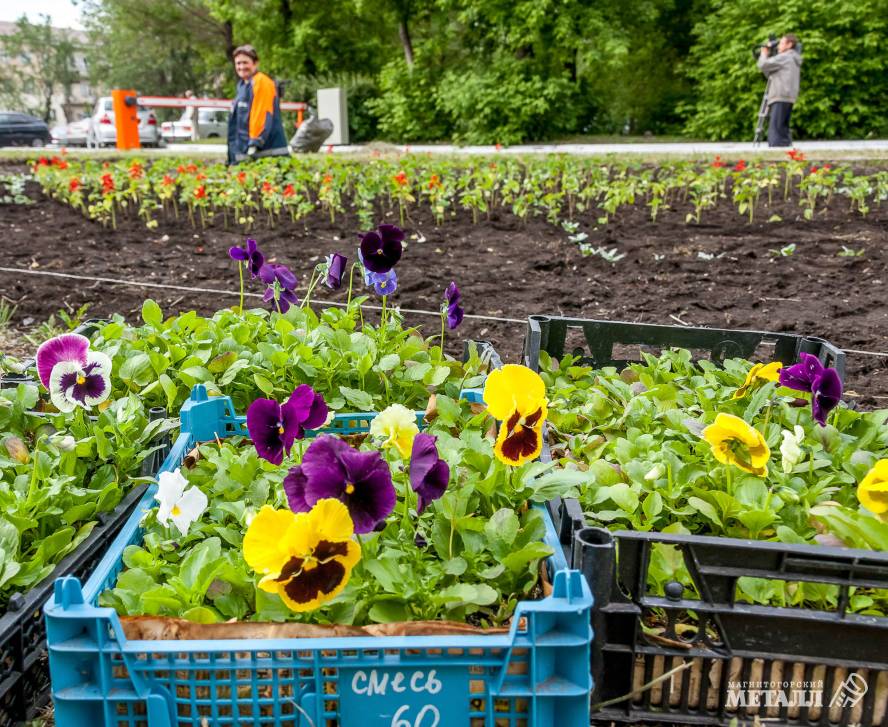 Новое дыхание | Фотография 1