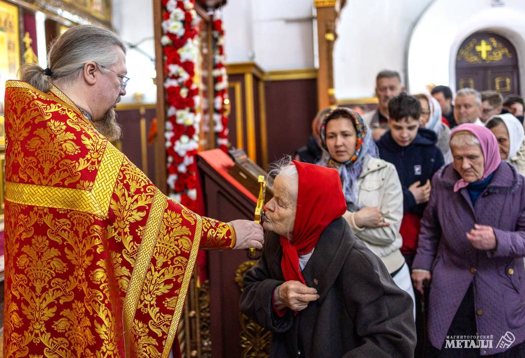 Торжество жизни | Фотография 29