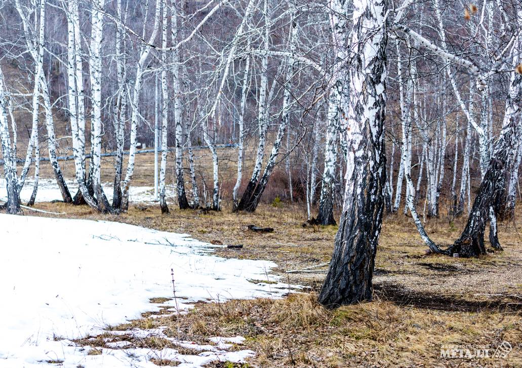 Ещё неделя – и стартуем! | Фотография 19