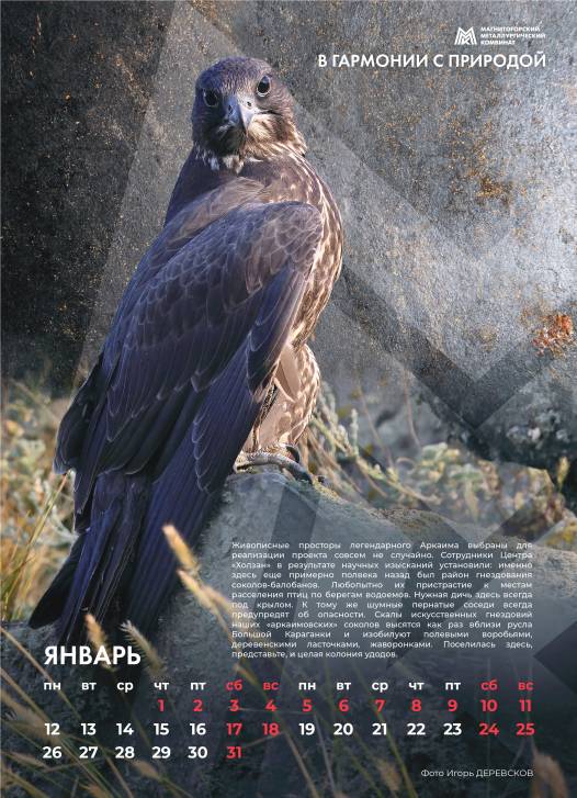 Так выглядит совершенство | Фотография 2