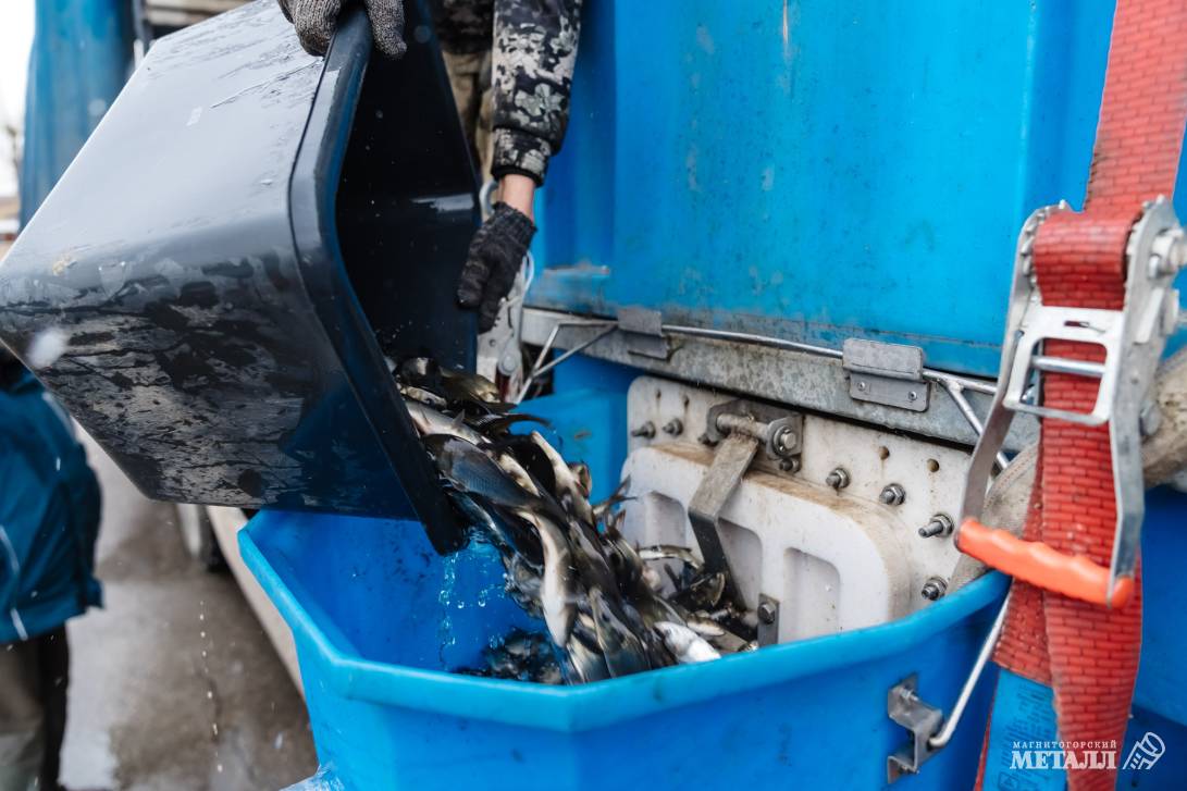 Рыбаки, готовьте удочки! | Фотография 16