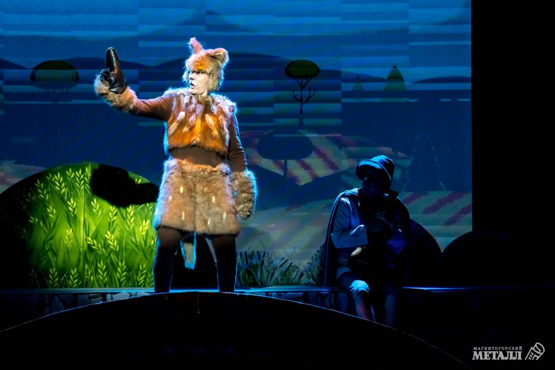 Коты приносят счастье | Фотография 10