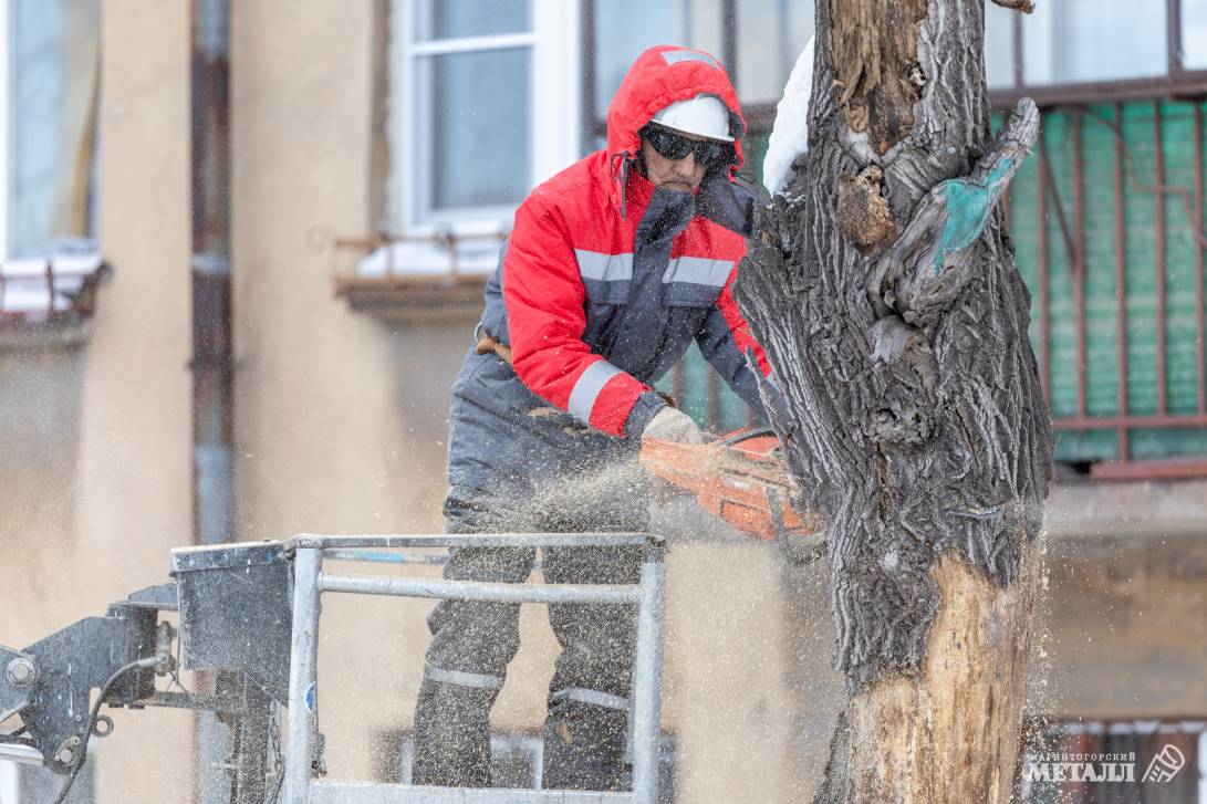 Убрать старое, чтобы посадить новое | Фотография 4