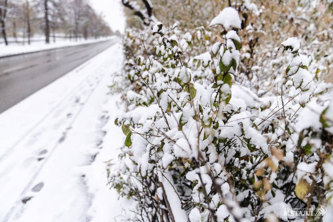 Прощай, зима! | Фотография 17