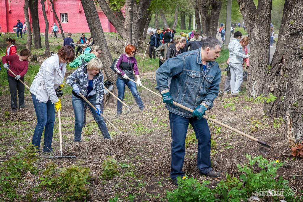 На субботник становись! | Фотография 1