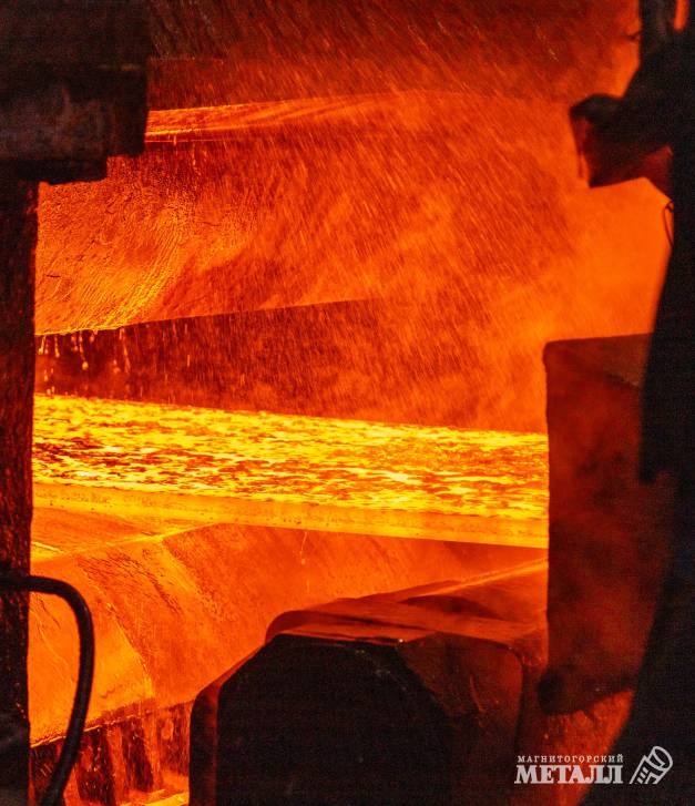 Изумление – восторг – гордость | Фотография 15