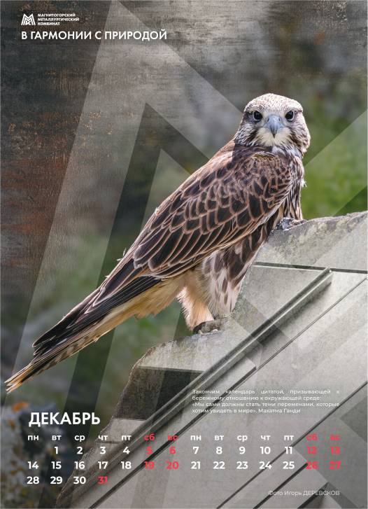 Так выглядит совершенство | Фотография 13