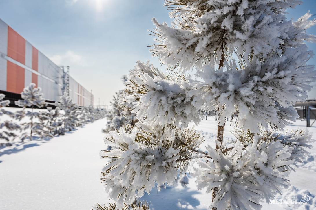 Прощай, зима! | Фотография 31