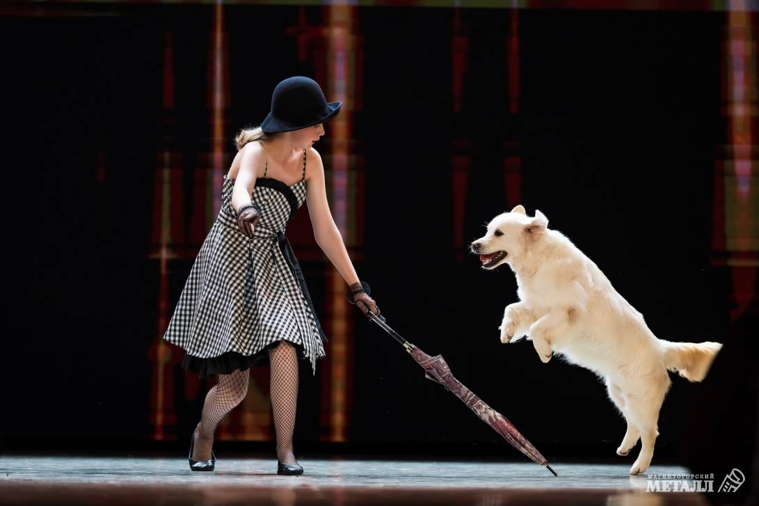 Россыпь детских талантов | Фотография 57