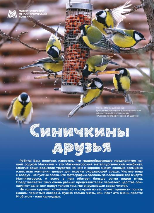 Синичкины друзья | Фотография 1
