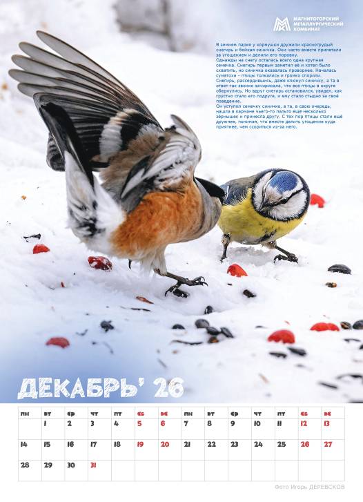 Синичкины друзья | Фотография 17