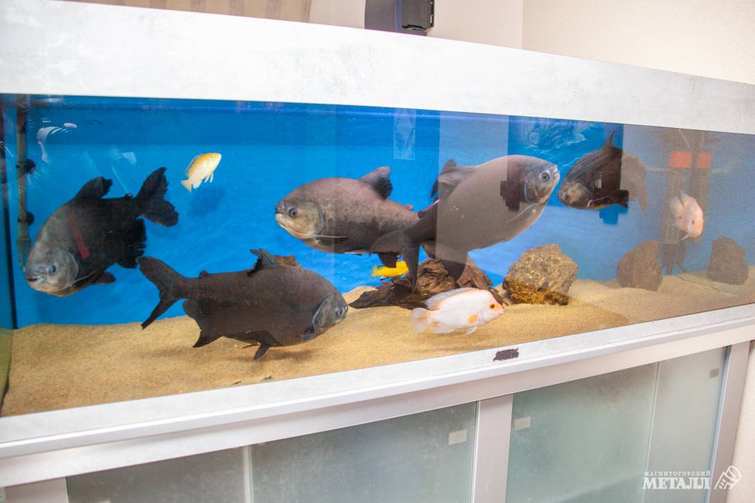 Бирюзовый – цвет успеха | Фотография 2