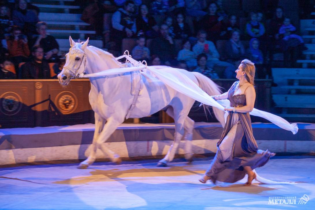 Новый год в Стране чудес | Фотография 10