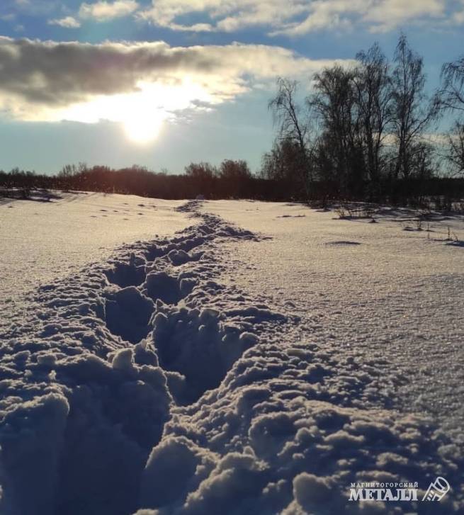 Цыплят по осени, глухарей – по зиме | Фотография 1