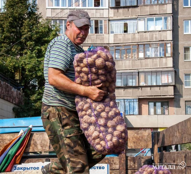 Без хлеба и картошки не останемся | Фотография 1