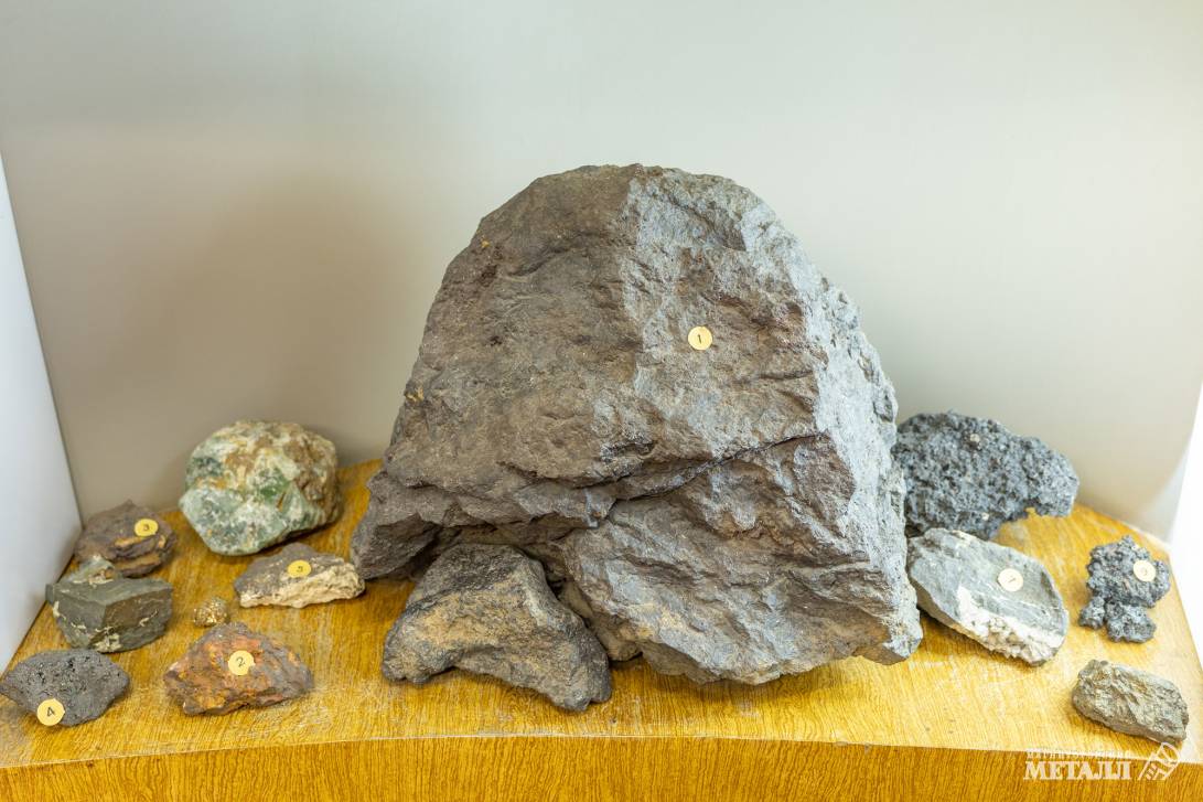 В музей за мотивацией | Фотография 15