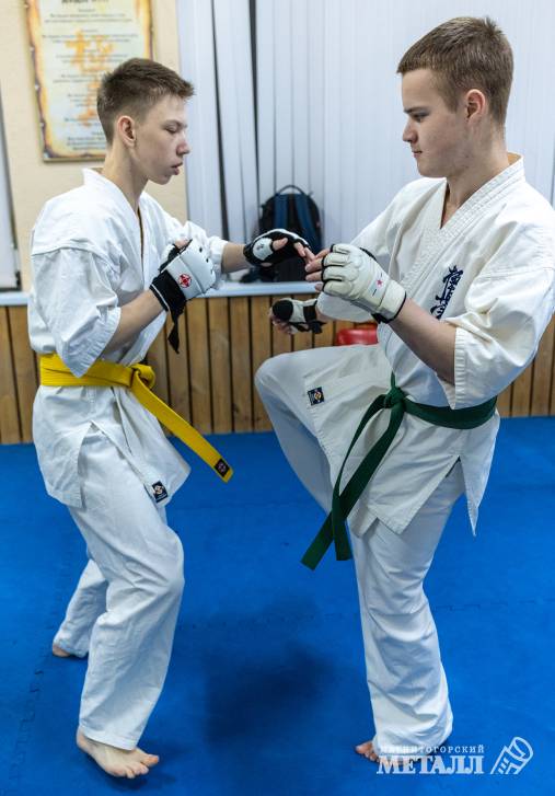 Самый молодой лев | Фотография 15