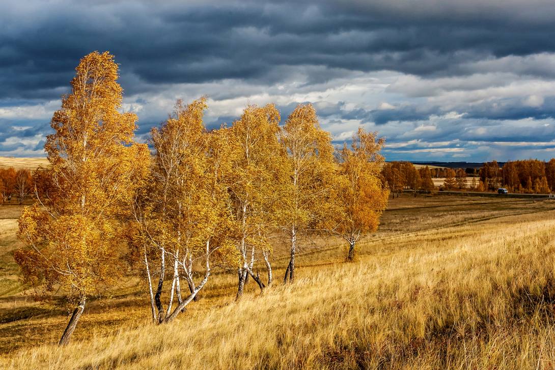 Русское поле осенью фото