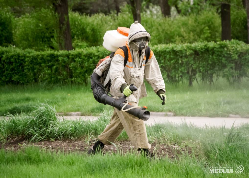 Дезинсекция для парков | Фотография 1