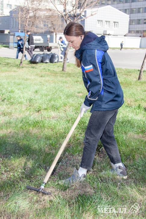 Живая природа на промплощадке | Фотография 5