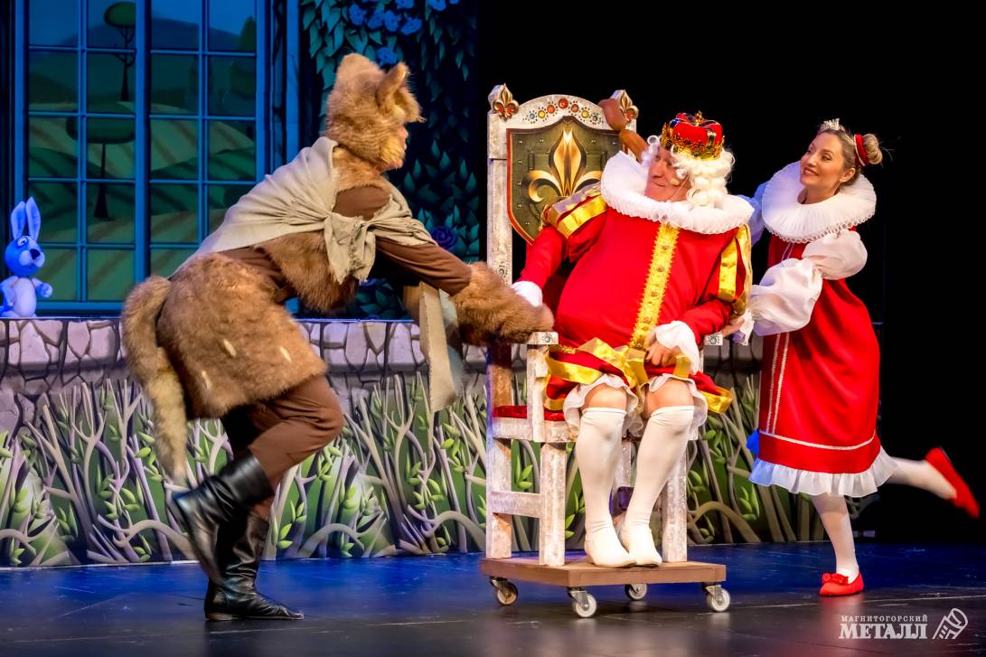 Коты приносят счастье | Фотография 16