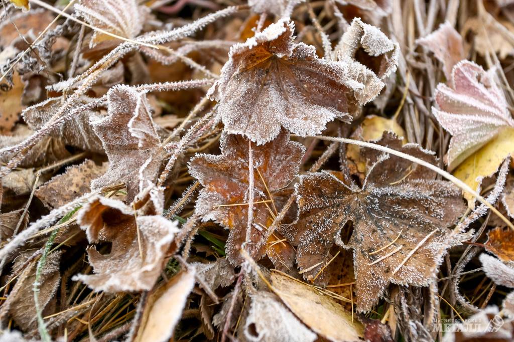 Скользко, холодно, ветрено | Фотография 1