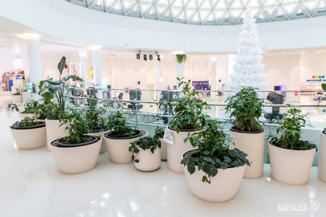 И среди зимы бывает лето | Фотография 26