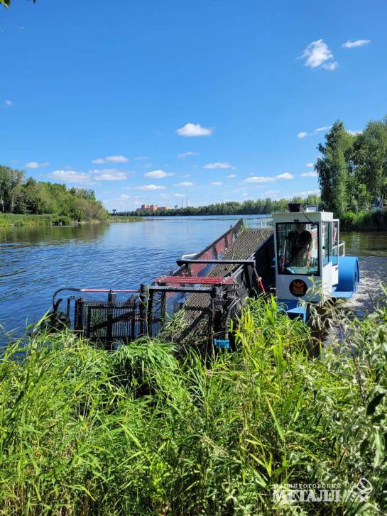 Человек помогает природе | Фотография 1