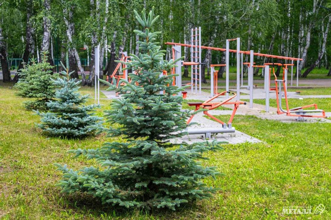 Теперь – под зелёным флагом  | Фотография 53