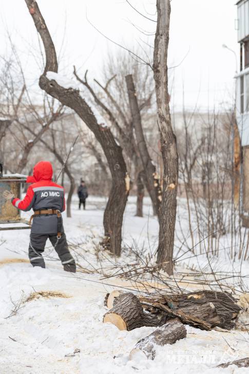 Убрать старое, чтобы посадить новое | Фотография 8