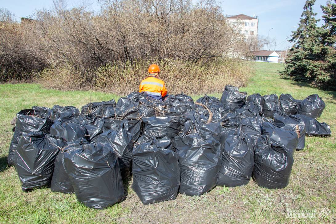 Живая природа на промплощадке | Фотография 8