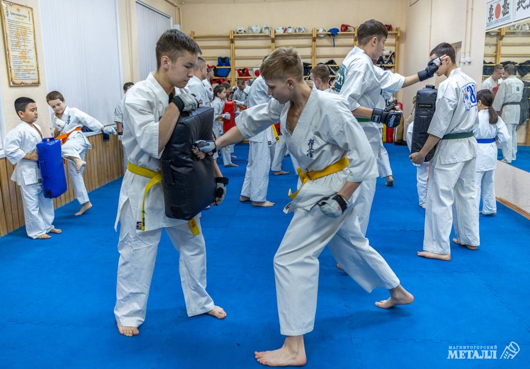 Самый молодой лев | Фотография 11