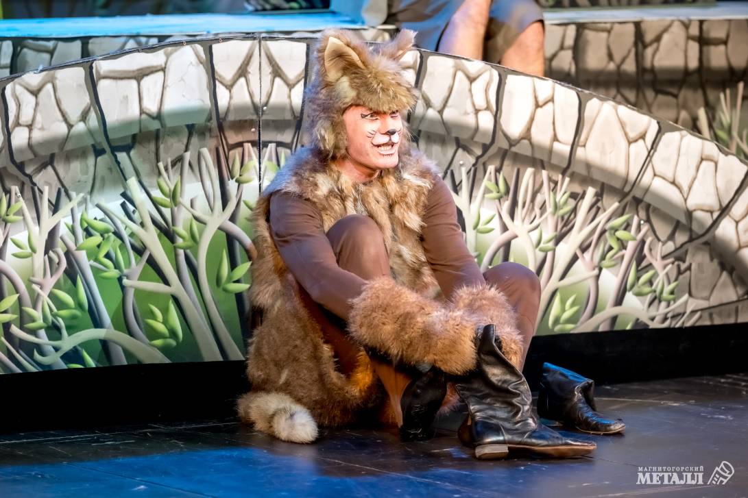 Коты приносят счастье | Фотография 11