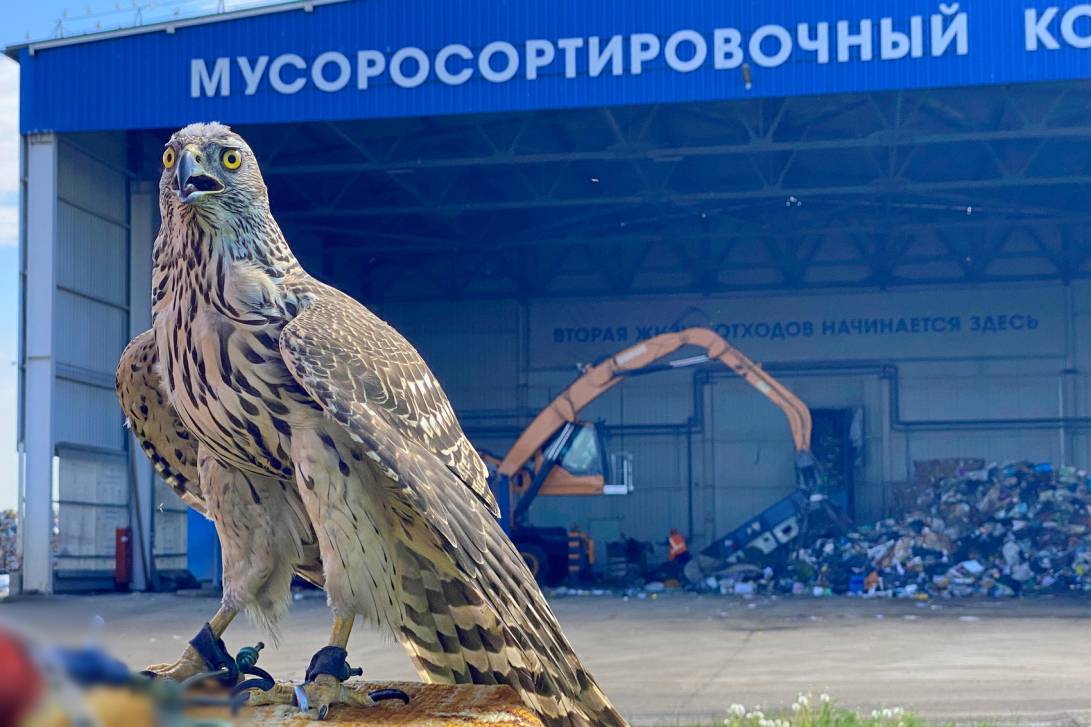 Мусор – от и до | Фотография 20