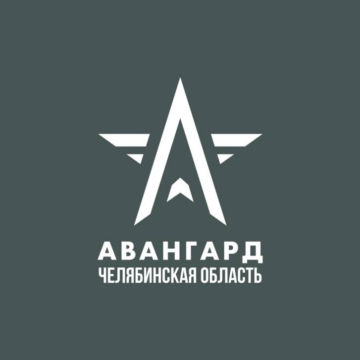 «Авангард» для юных патриотов | Фотография 1