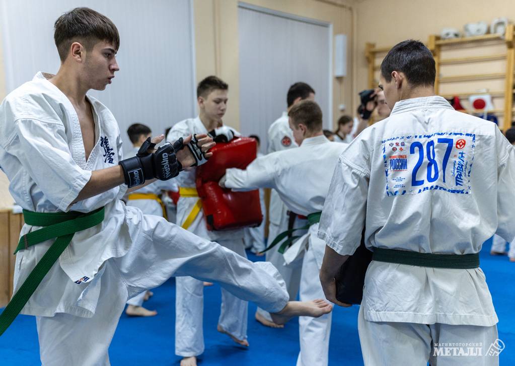 Самый молодой лев | Фотография 13