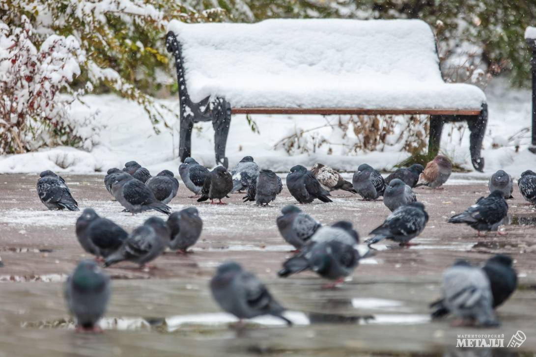Прощай, зима! | Фотография 6