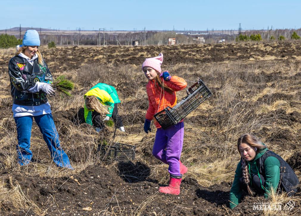 Не про потребление, а про созидание! | Фотография 1