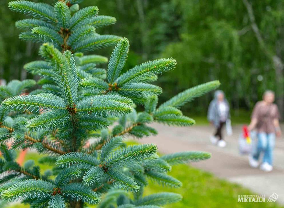 Теперь – под зелёным флагом  | Фотография 58